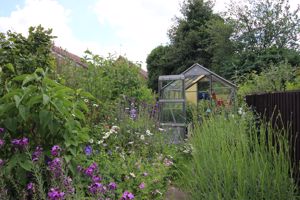 Rear garden/greenhouse- click for photo gallery